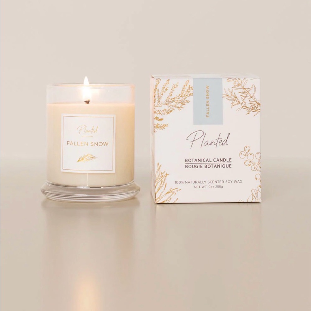 Planted: Botanical Candle - Fallen Snow